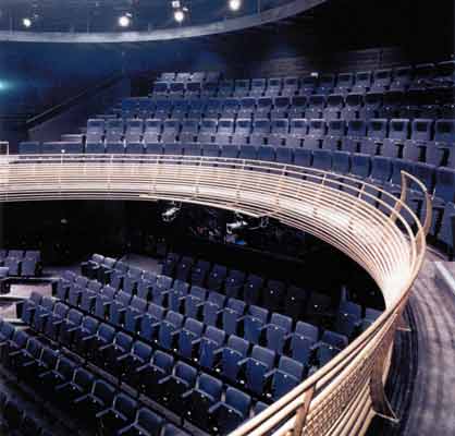 Chequer Mead 300 seater auditorium